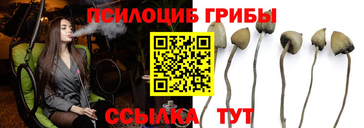 Галлюциногенные грибы Psilocybine cubensis  Вход с VPN  Псилоцибиновые грибы Magic Shrooms  Сафоново 